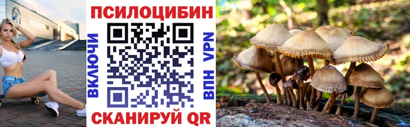 цена наркотик  Велиж  MEGA tor  Псилоцибиновые грибы прущие грибы 
